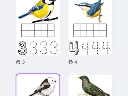 Big bird watch - feed the birds the correct amount of food