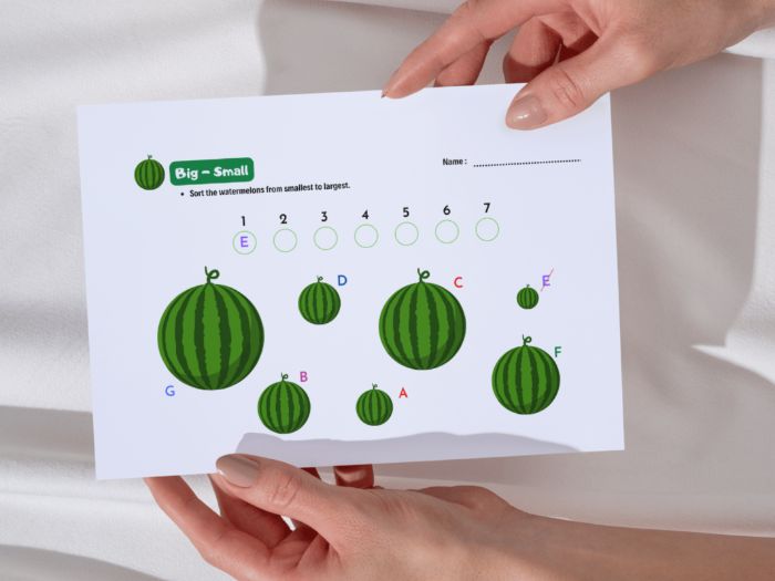 Big Small Activity Worksheet Primary School Preschool Matching