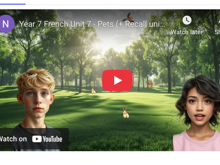 07. FRENCH SHORT STORY - Year 7. Unit 7: Les animaux de compagnie
