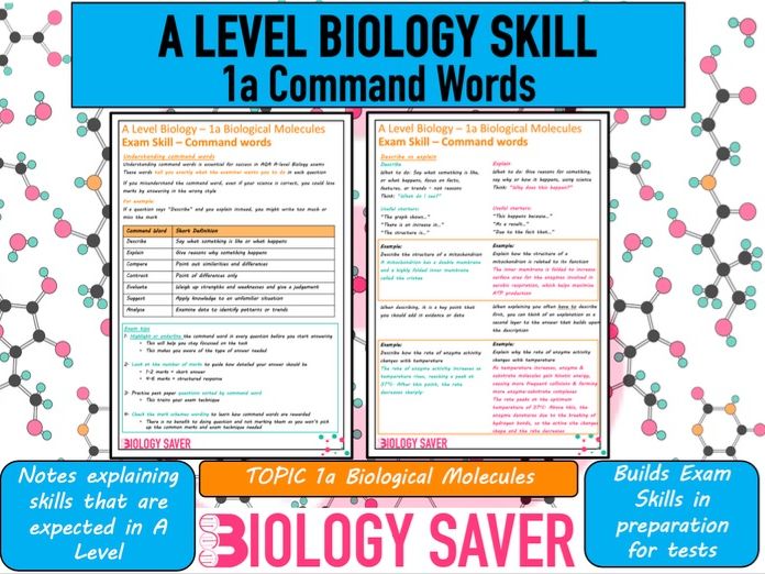A Level Bio Skill - 1a Command Words