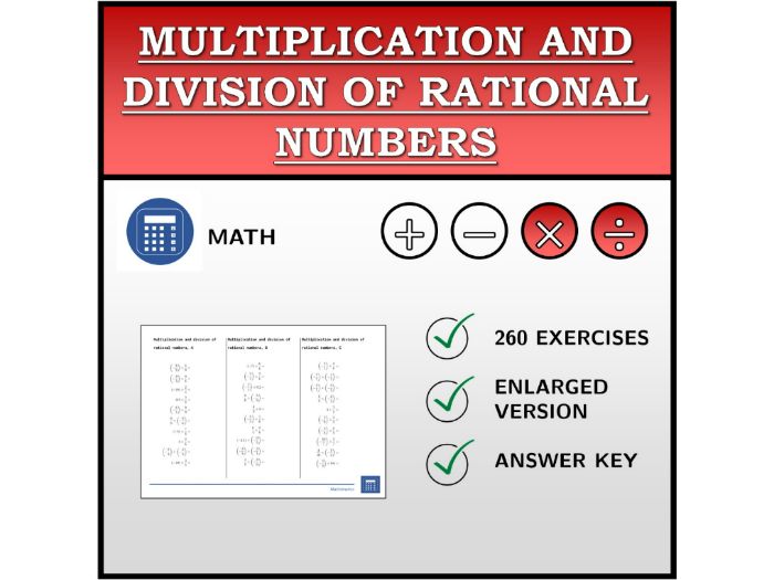 Multiplication and Division of Rational Numbers | Printable Worksheet