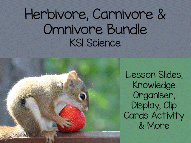 Herbivore, Carnivore & Omnivore learning pack