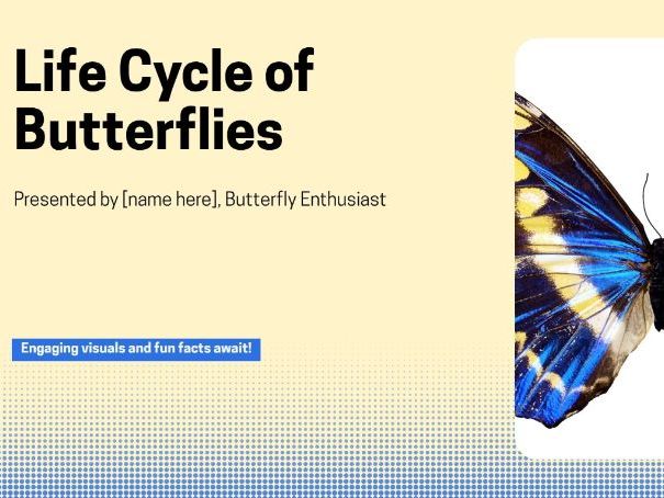 The Amazing Life Cycle of Butterflies: A Journey of Transformation ...