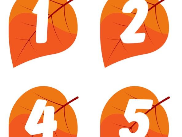 Leaf number match 1-5