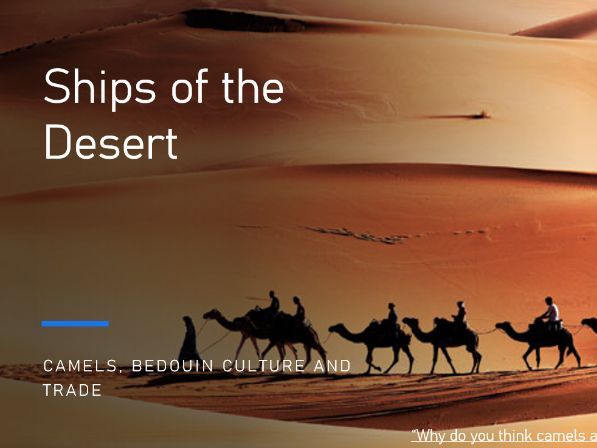 Ships of the Desert – Camels, Bedouin Culture and Trade (Grade 4–5 UAE Social Studies)