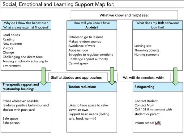 SEMH risk assessment - individual - one page | Teaching Resources