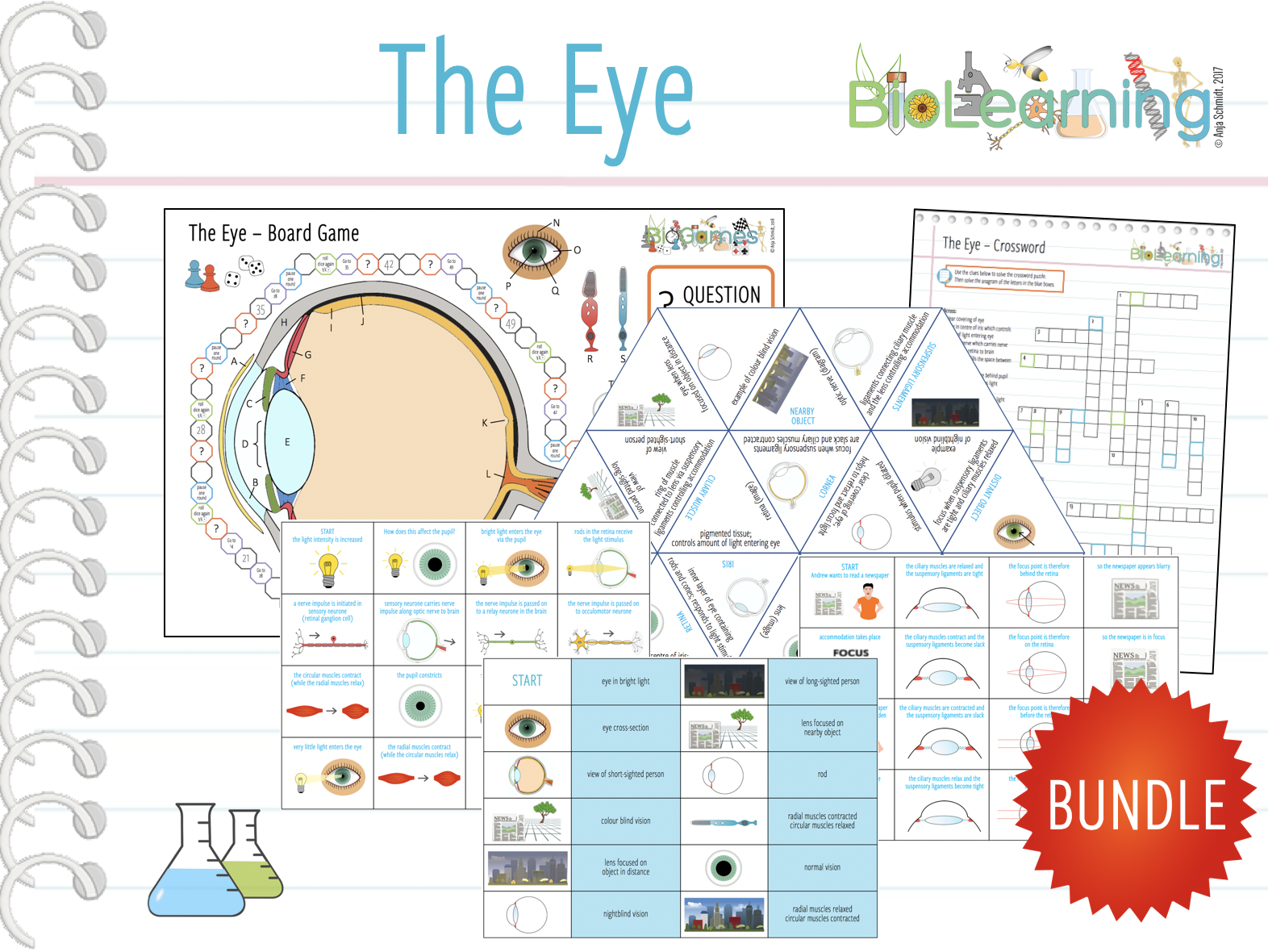 The Eye 8x games and activities (KS3/4) Teaching Resources
