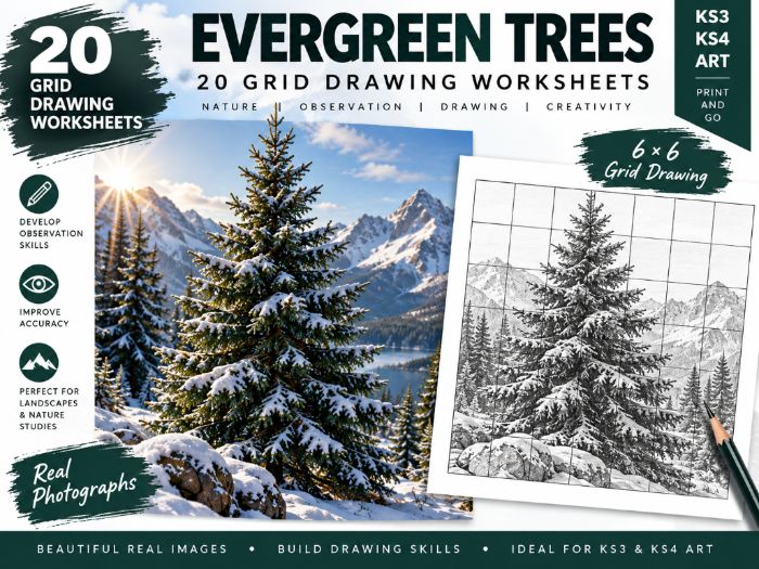Evergreen Trees Grid Drawing Worksheets | 20 Nature & Landscape Art Activities | KS3 KS4