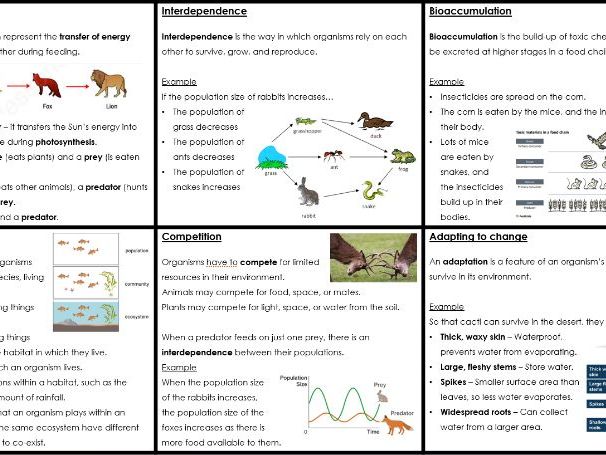KS3 Activate ' Ecosystems and adaptation' Knowledge Organiser