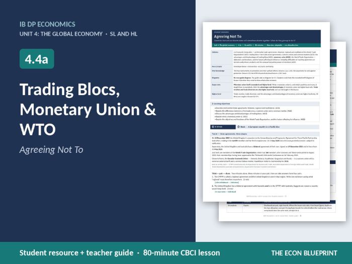 IB Economics 4.4a Trading Blocs, Monetary Union & WTO | CBCI