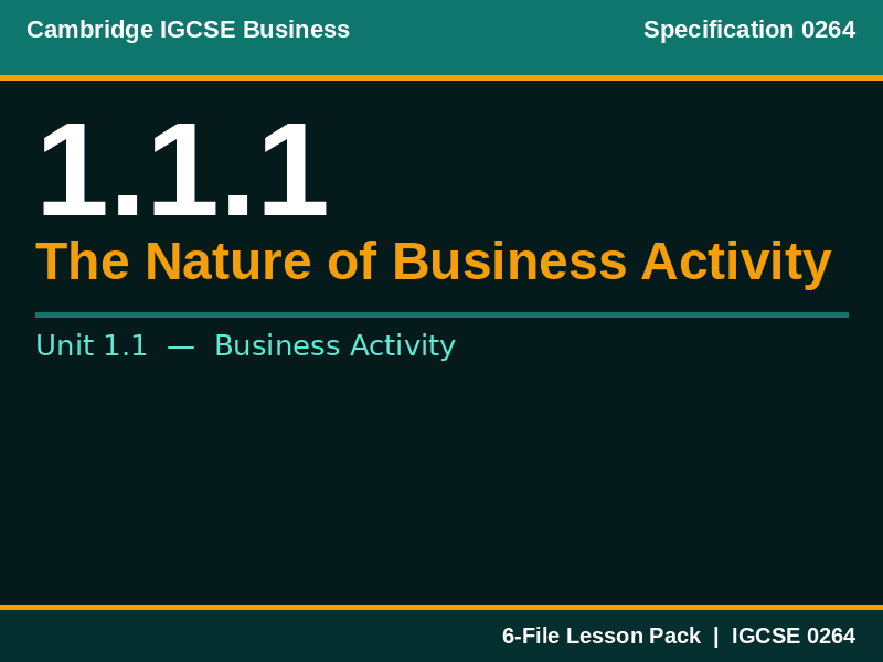 Cambridge IGCSE Business 0264 | 1.1.1 The Nature of Business Activity | Lesson Pack