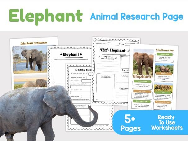 Elephant Animal Research Page | Printable Science Worksheets