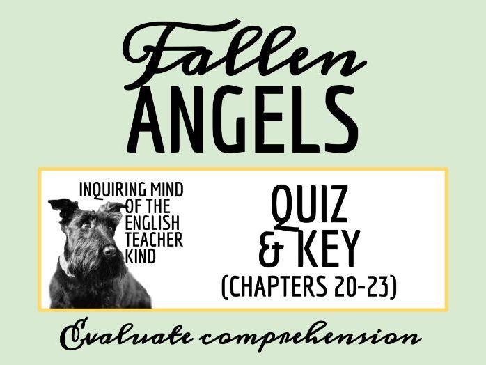 Fallen Angels by Walter Dean Myers Chapters 20, 21, 22, and 23 Quiz and Answer Key