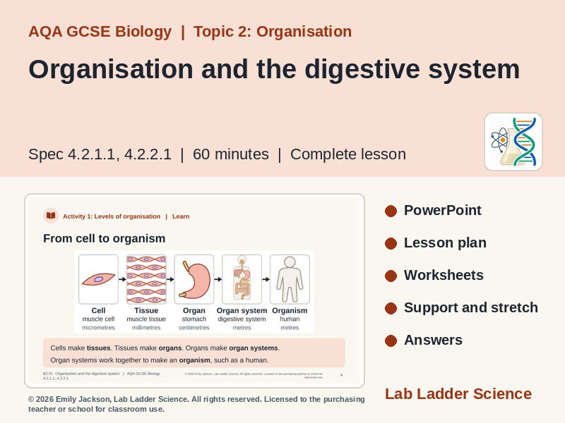 B2-01 Organisation & Digestion: AQA GCSE Biology
