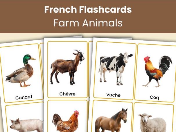 French Farm Animals Flashcards | 24 Printable Vocabulary Cards