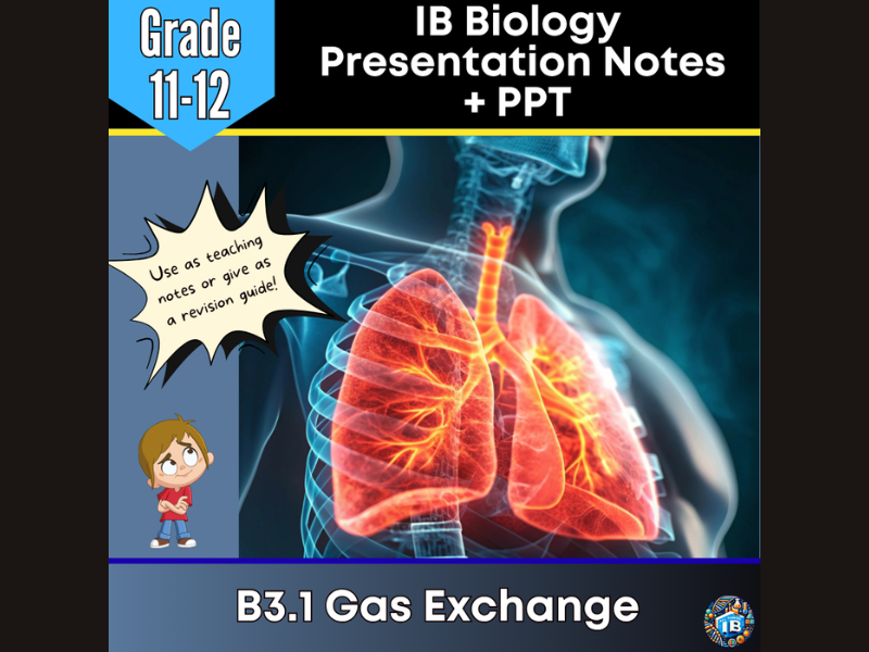 IB DP Biology B3.1 Gas Exchange Teaching Notes & PowerPoint 2026