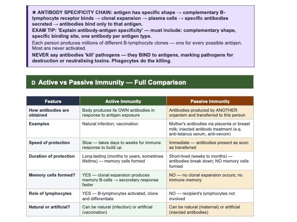 Ch. 10: Immunity & Defense Against Disease — Exam-focused Revision Guide — Cambridge IGCSE Biology