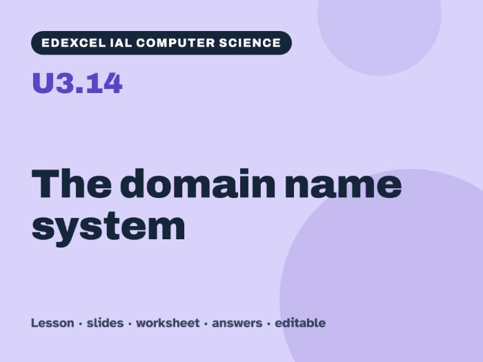 Edexcel IAL Computer Science – U3.14 The domain name system – Lesson & Worksheet