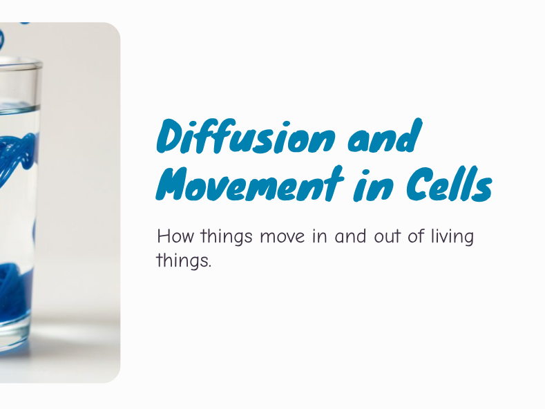 Y7 - Cells - Diffusion and Movement in Cells