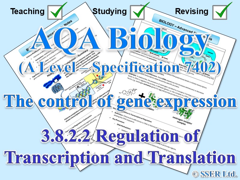 BIOA_AQA Topic Notes: 3.8.2.2 Regulation of Transcription and Translation