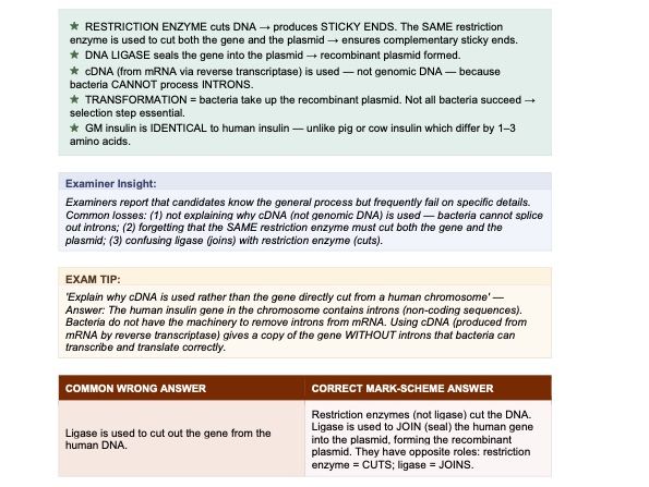 Ch.21 Biotechnology and genetic modification — Exam focused Revision Guide — Cambridge IGCSE Biology