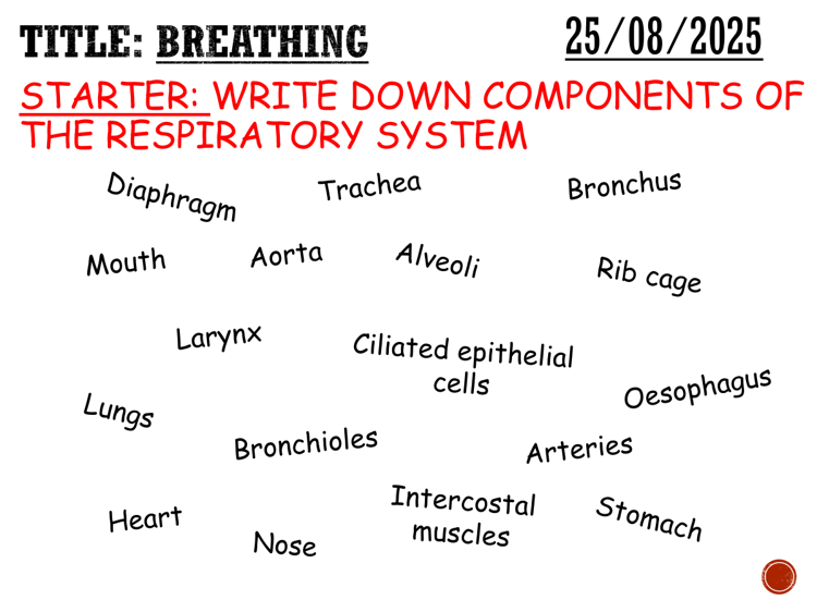 Breathing - complete lesson (KS3)