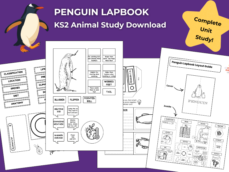 Penguin KS2 Animal Science Activities | Lapbook