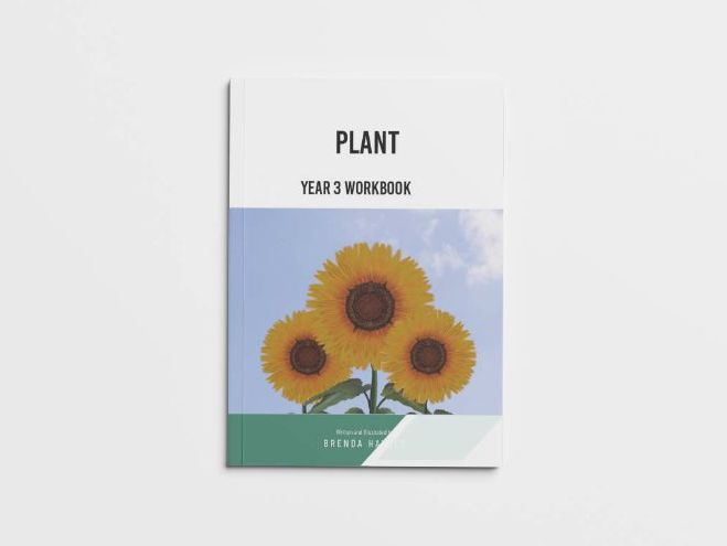 Year 3 Plants Workbook | KS2 Science Made Easy for Kids