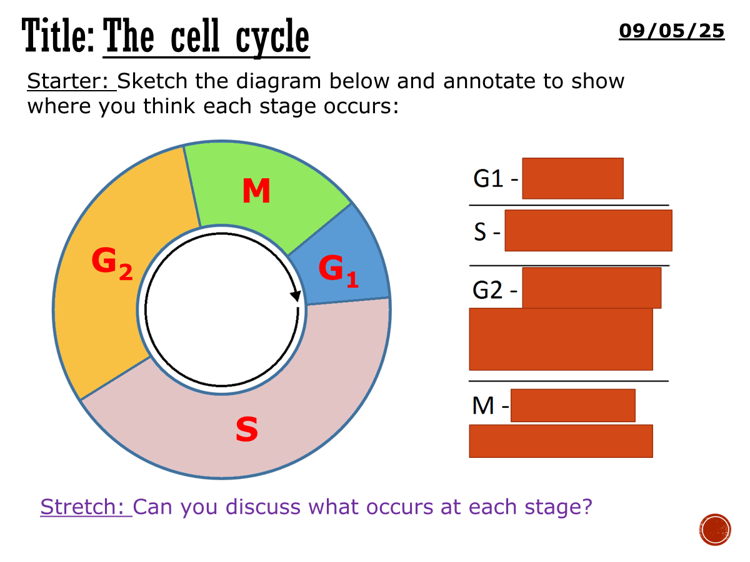 The cell cycle - complete lesson (AS/A2)