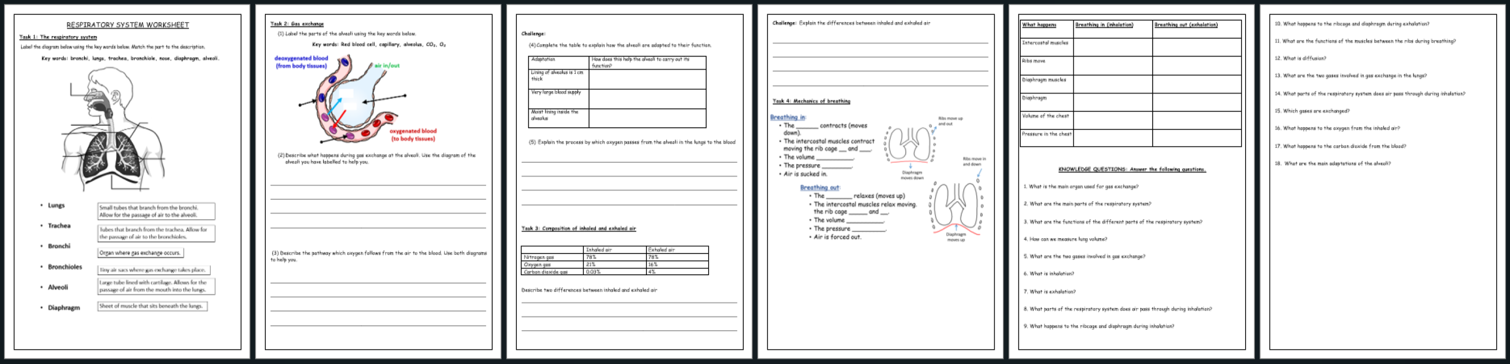 docx, 401.57 KB