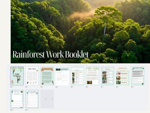 Rainforest Work Booklet