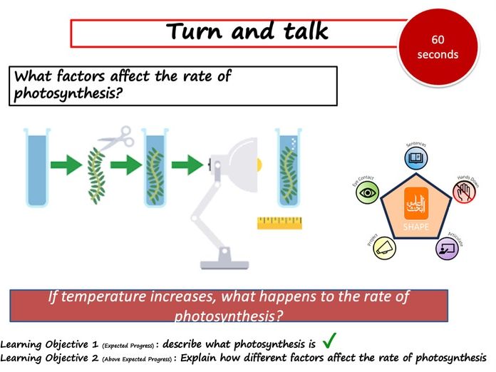 Photosynthesis