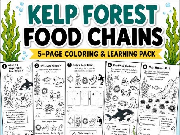 Kelp Forest Food Chains | Ocean Ecosystem Coloring Worksheets |Food Web Activity