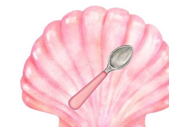 Set 2 Special Friends/Digraphs Pictures on Shells