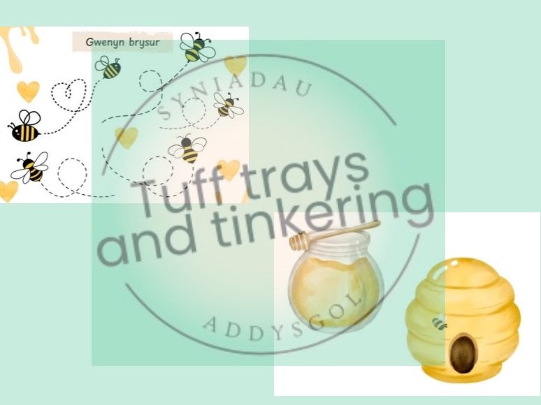bees gwenyn fine motor skills Curriculum for Wales Early Years PS1 addysg Cymraeg