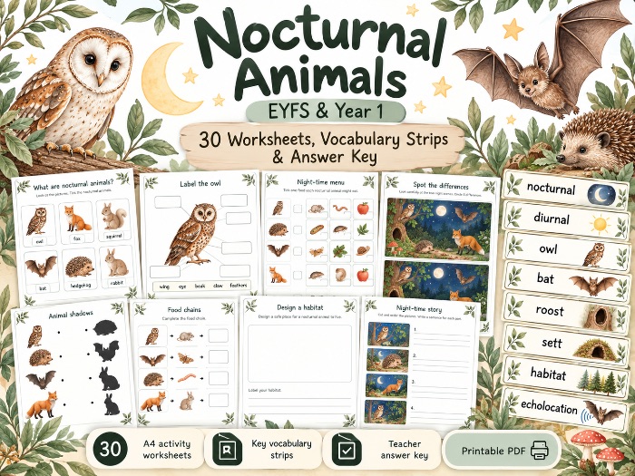 Nocturnal Animals EYFS & Year 1 | 30 Worksheets, Vocabulary Strips & Answers