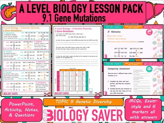 A Level Bio Lesson - 9.1 Gene Mutations