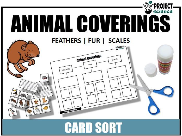 Feathers, Fur or Scales Card Sort