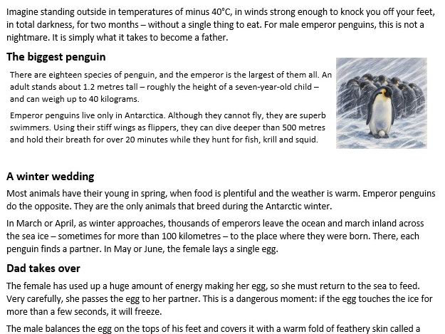 Reading Rehearsal: Spring 1( 7 Texts & 7 sets of SATs style questions)