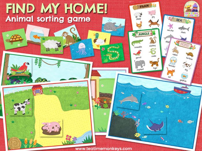 ANIMALS SORTING GAME FIND MY HOME! Animal Habitat Sorting & Memory
