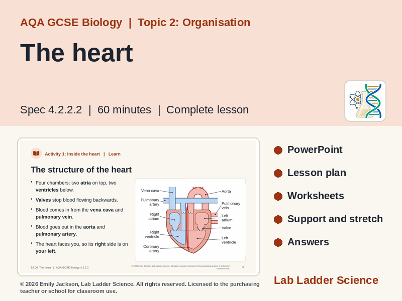 B2-06 The Heart & Circulation: AQA GCSE Biology