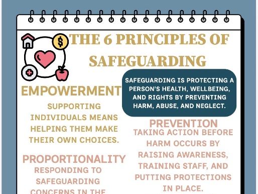 T Level Health "6 Principles of Safeguarding" Poster