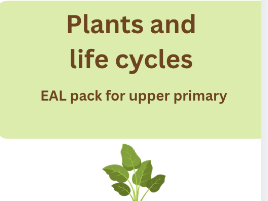 EAL vocabulary: Plants & lifecycles