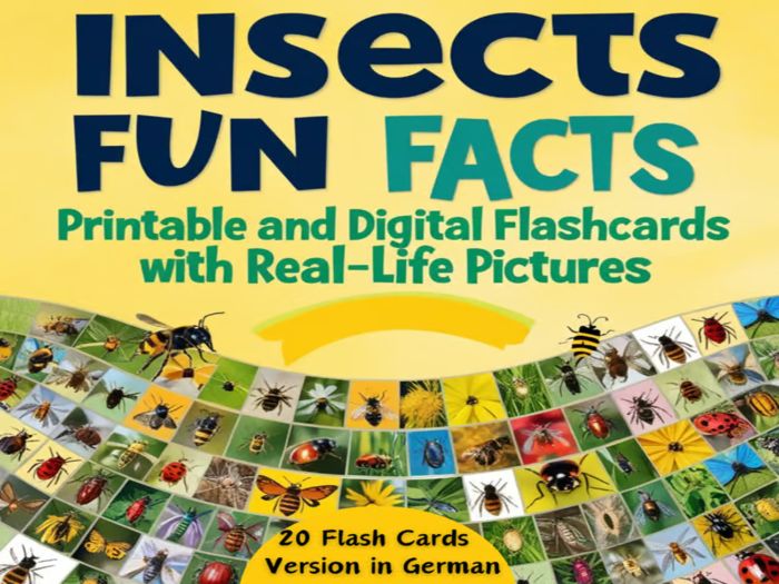 Insects Fun Facts: Printable and Digital Flashcards with Real-Life Picture Version in German