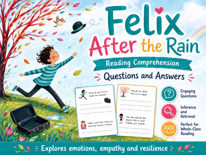 Felix After The Rain - Comprehension - LKS2