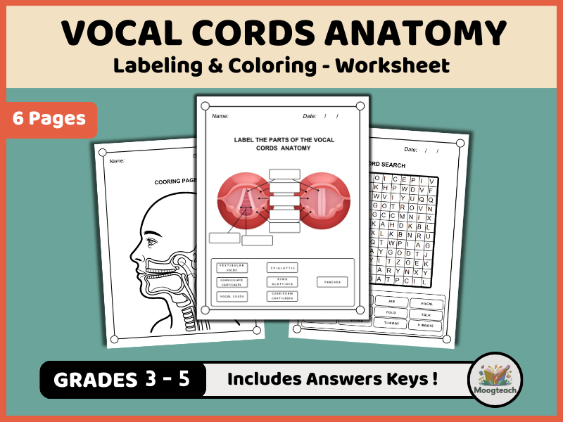 Vocal Cords Anatomy Worksheet Pack | Labeling, Coloring & Word Search (K-4 Human Body & Voice PDF)