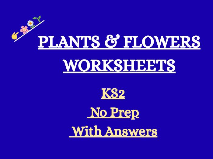 Plants and Flowers Worksheets KS2 | Reading Comprehension, Writing & Grammar | With Answers