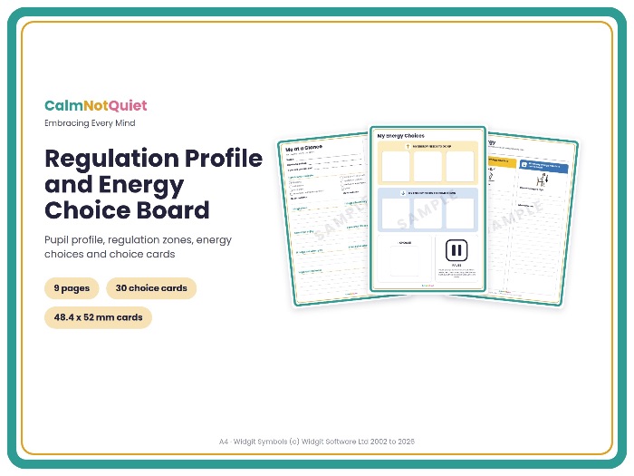 Regulation Profile and Energy Choice Board