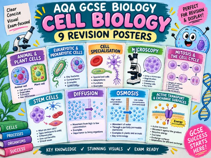 AQA GCSE Biology Cell Biology Revision Posters | 9 Colourful Classroom Posters