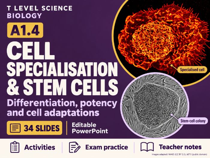 T Level Science - Biology A1.4 Cell Specialisation and Stem Cells